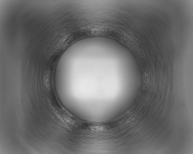 X0000056330698200509161710