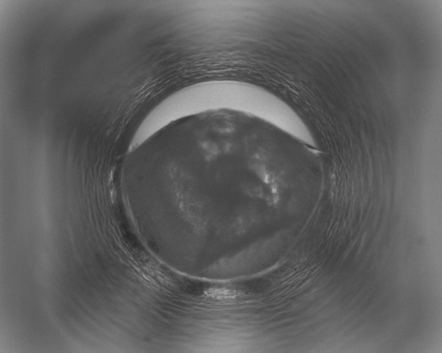 X0000056330699200509161710