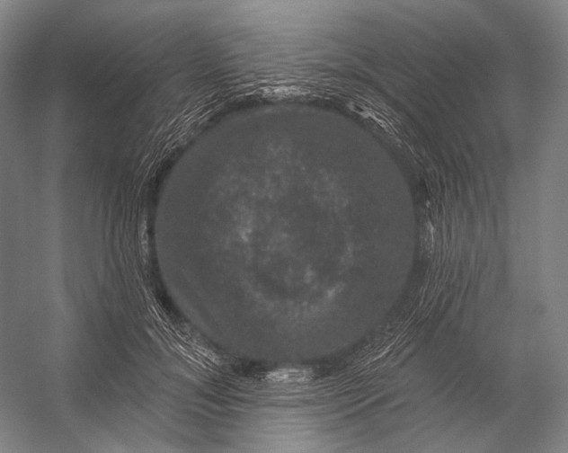 X0000056330700200509161710