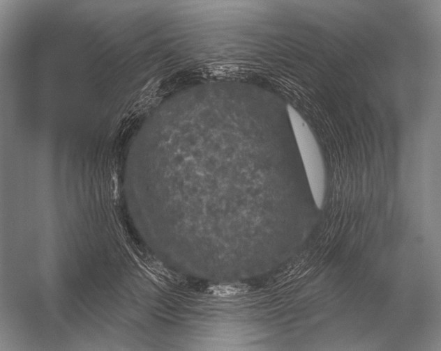 X0000056330703200509161709