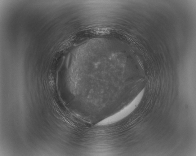 X0000056330704200509161709