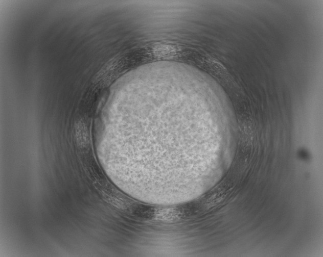 X0000056330705200509161709