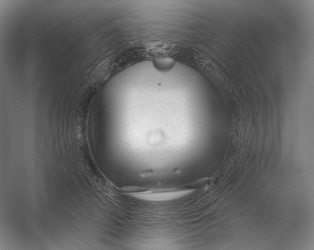 X0000056330706200509161709