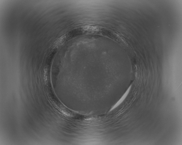 X0000056330708200509161709