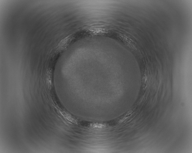 X0000056330710200509161709