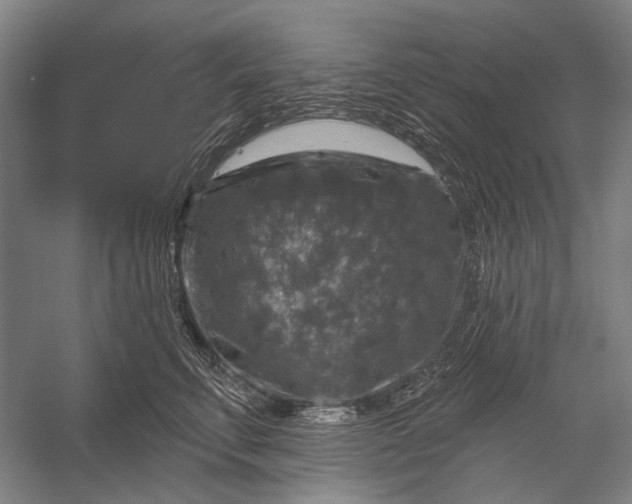 X0000056330711200509161709