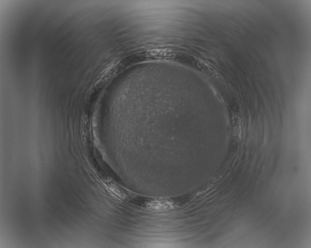 X0000056330712200509161709