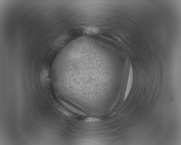 X0000056330714200509161709