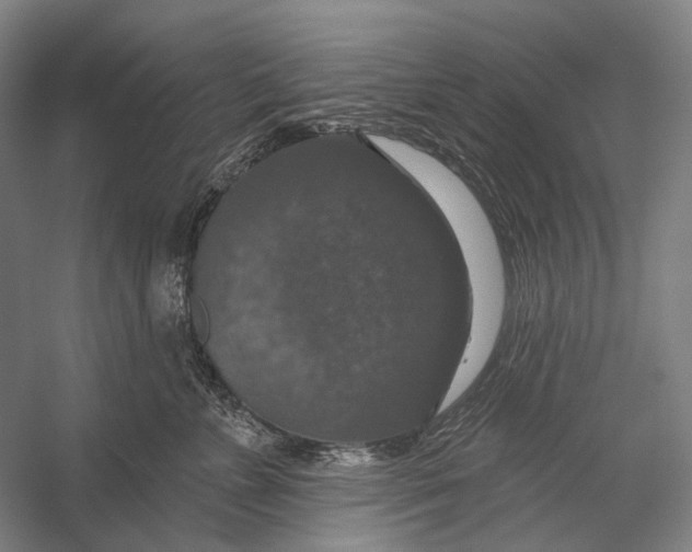 X0000056330715200509161709