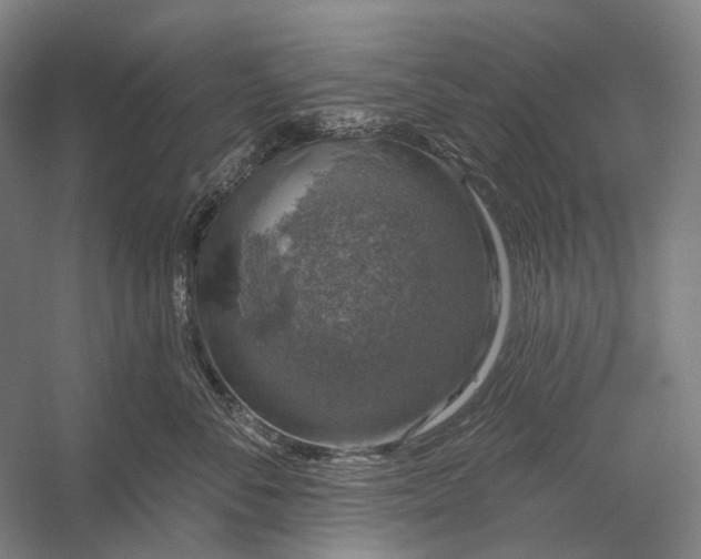 X0000056330716200509161709