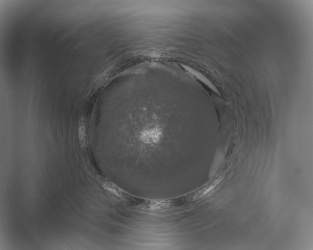 X0000056330720200509161709