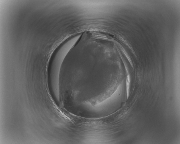 X0000056330721200509161708