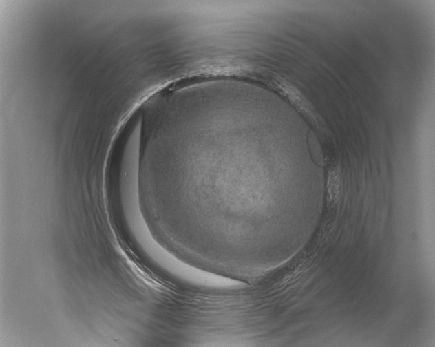 X0000056330722200509161708