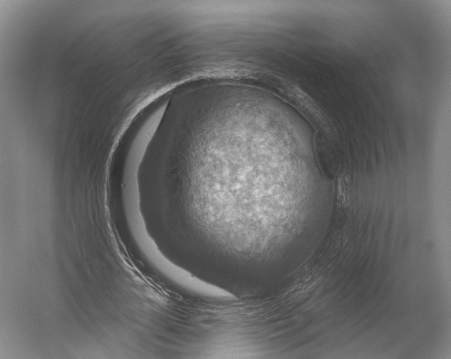 X0000056330724200509161708