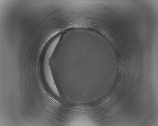 X0000056330727200509161708