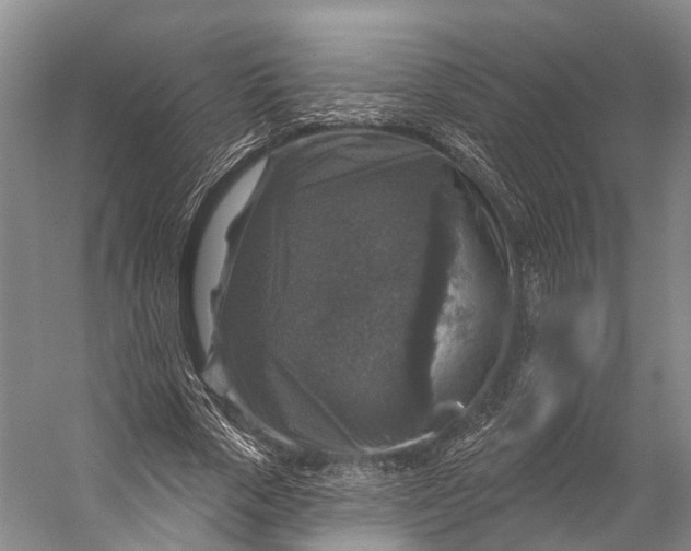 X0000056330729200509161709