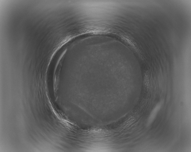 X0000056330730200509161709