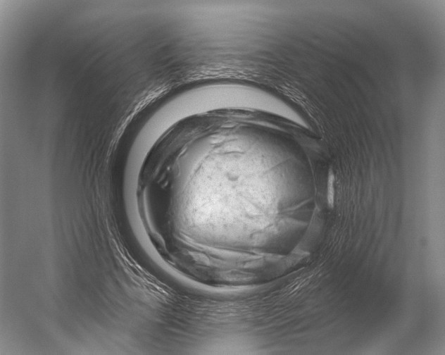 X0000056330731200509161709