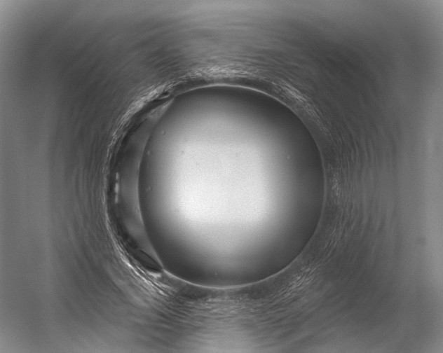 X0000056330732200509161709