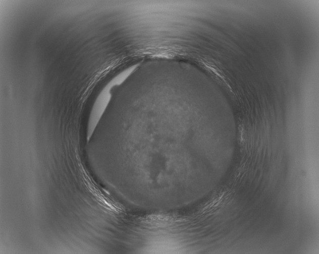 X0000056330733200509161709