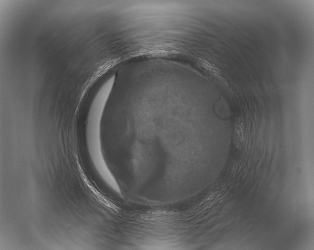 X0000056330734200509161709