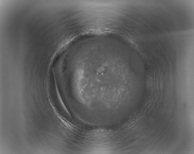 X0000056330736200509161709