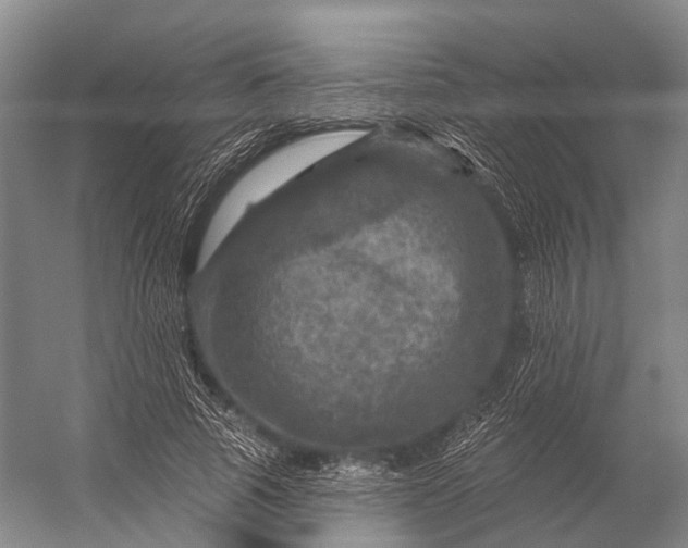 X0000056330737200509161709