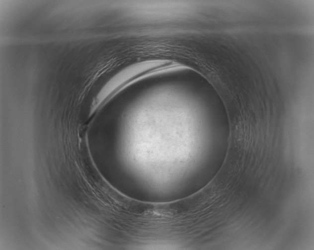 X0000056330739200509161709