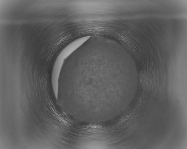 X0000056330741200509161709