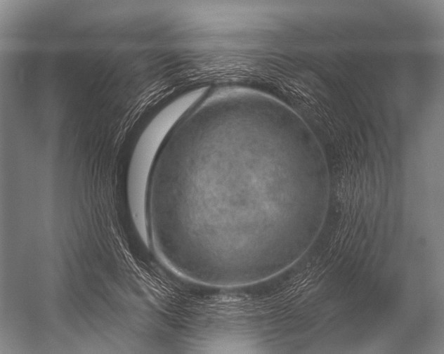 X0000056330743200509161709