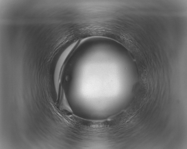 X0000056330744200509161709