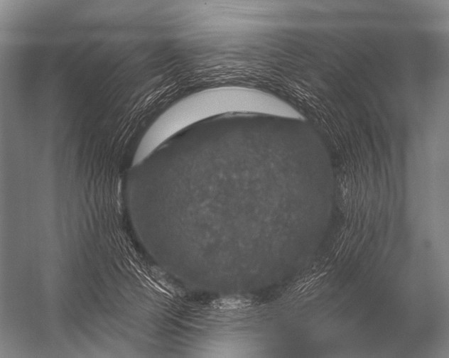 X0000056330745200509161709