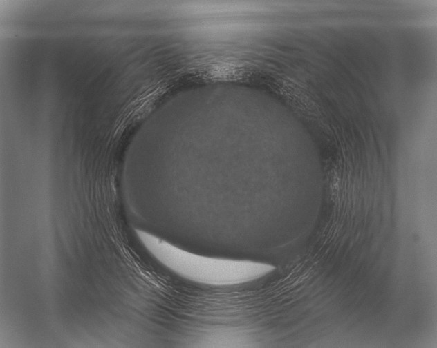 X0000056330746200509161709