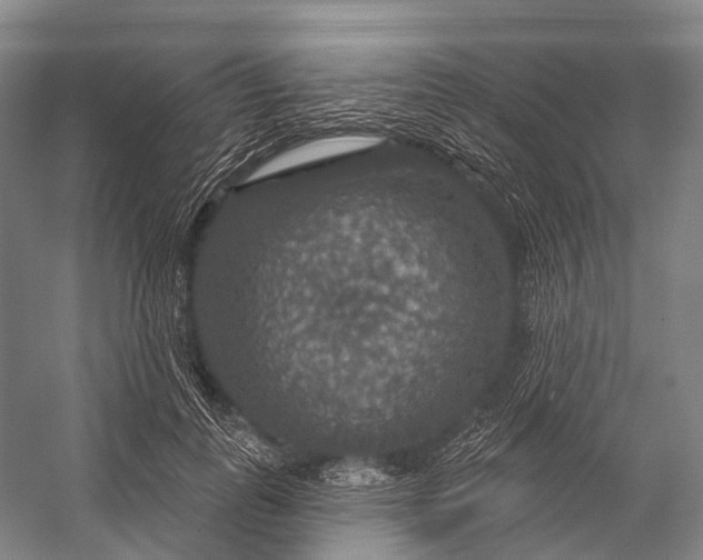 X0000056330747200509161709