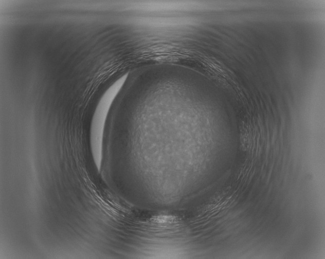 X0000056330748200509161709