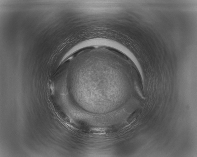 X0000056330750200509161709