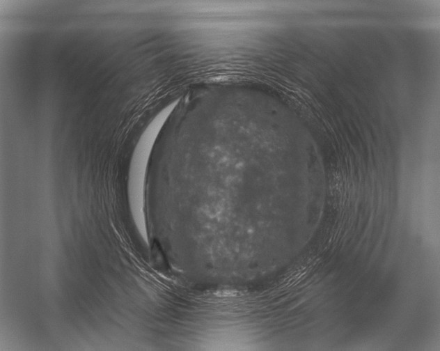 X0000056330751200509161709