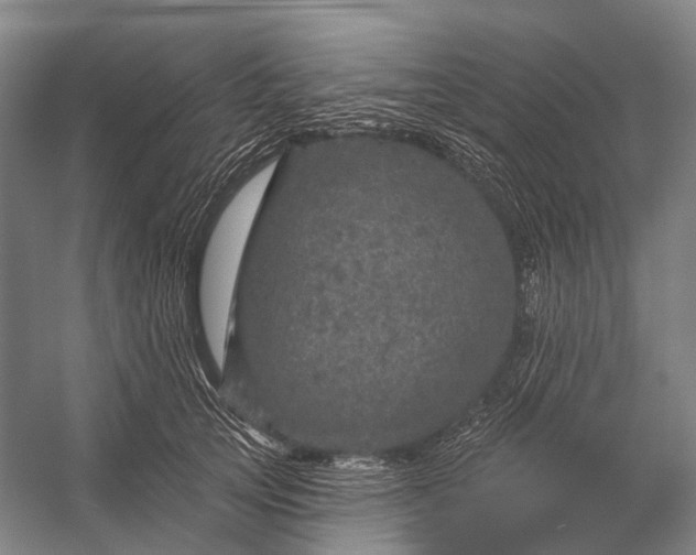 X0000056330753200509161709