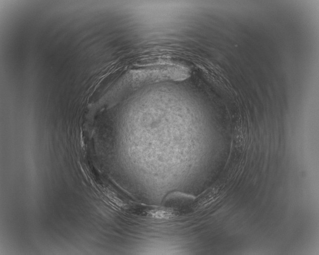 X0000056330755200509161709