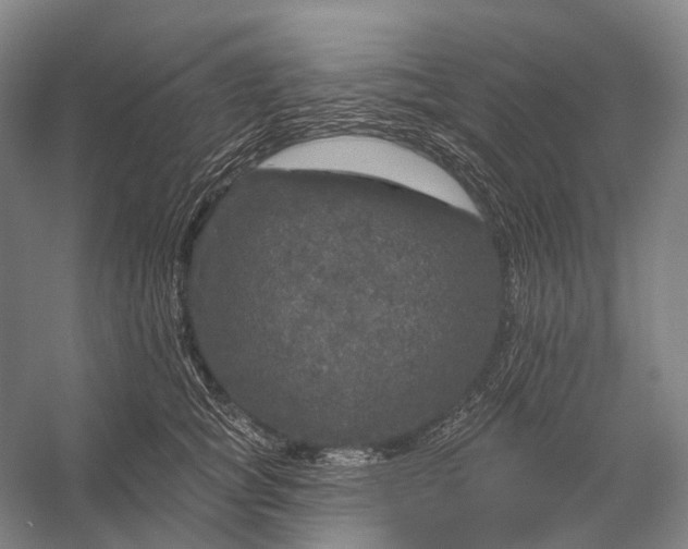 X0000056330757200509161709