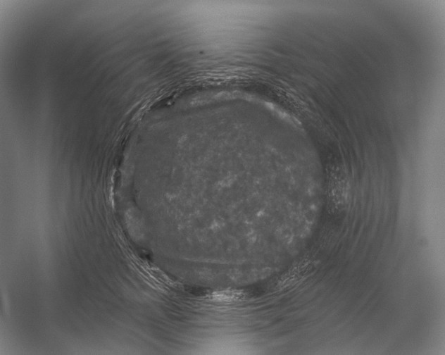 X0000056330758200509161709