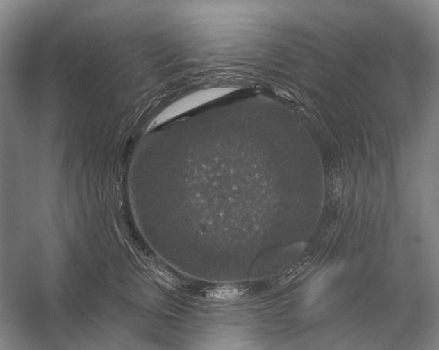 X0000056330759200509161709