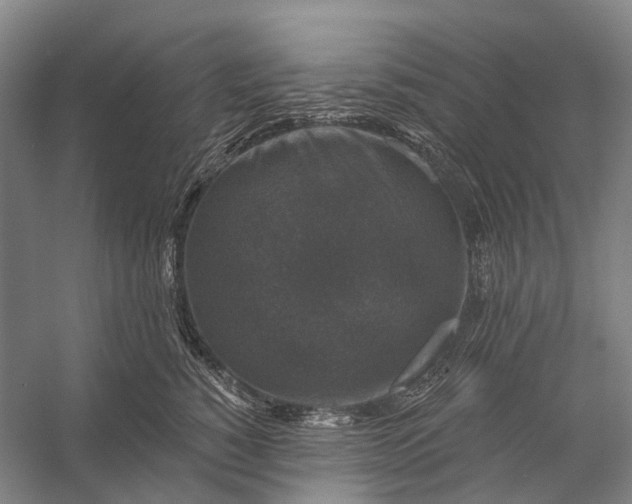 X0000056330760200509161709