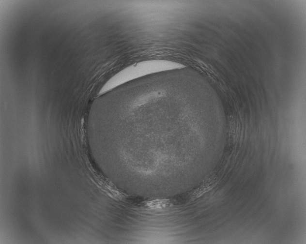 X0000056330761200509161709