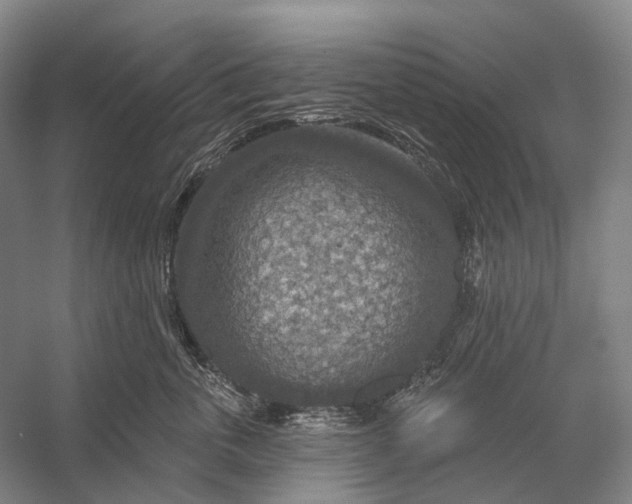 X0000056330763200509161709