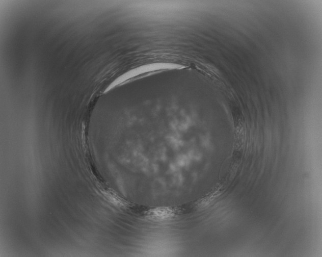 X0000056330765200509161709