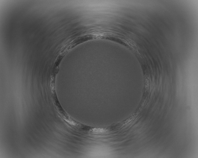 X0000056330766200509161709