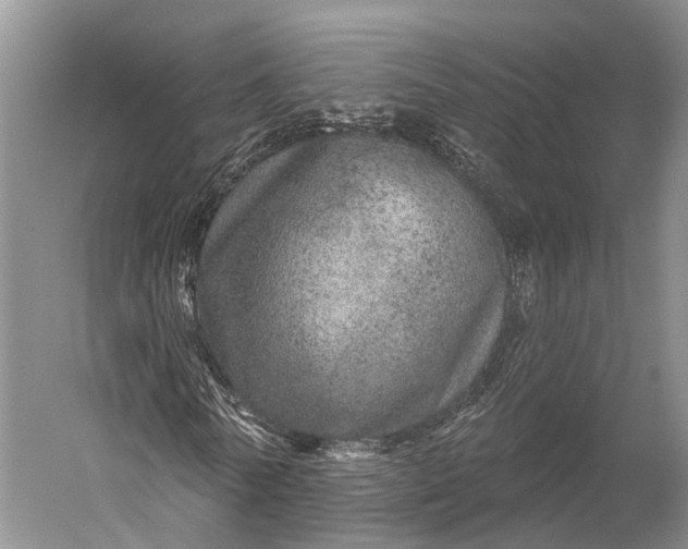 X0000056330770200509161708