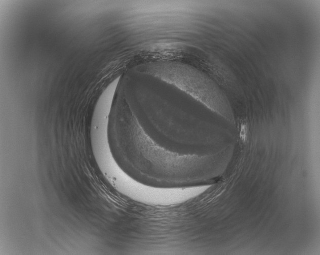 X0000056330771200509161708