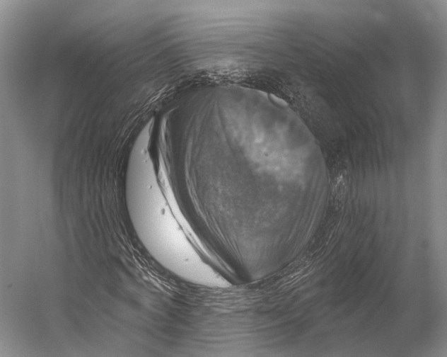 X0000056330772200509161708